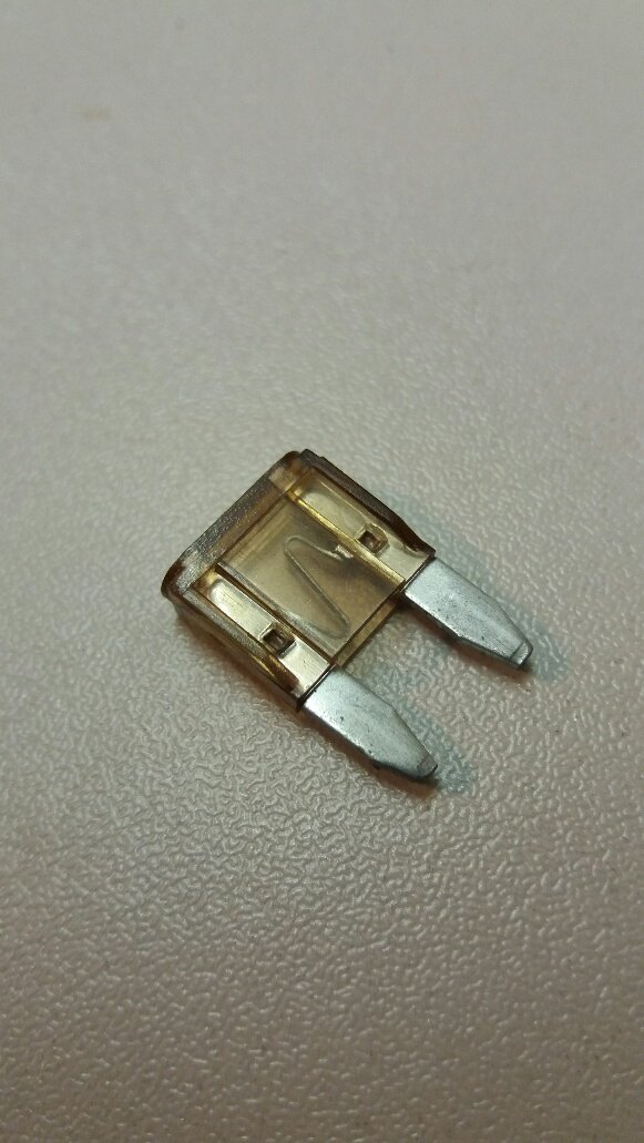 5 amp mini blade fuses