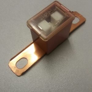 30 amp japanese slow blow fuse